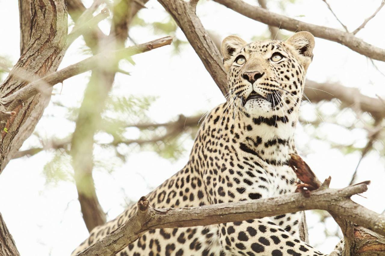 Vuyani River Lodge Hoedspruit Buitenkant foto